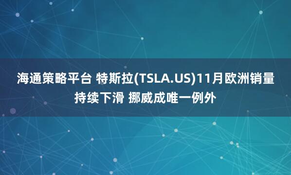 海通策略平台 特斯拉(TSLA.US)11月欧洲销量持续下滑 挪威成唯一例外